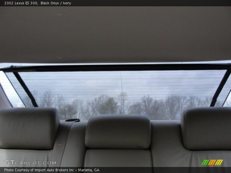 Black Onyx / Ivory 2002 Lexus ES 300