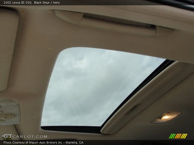 Black Onyx / Ivory 2002 Lexus ES 300