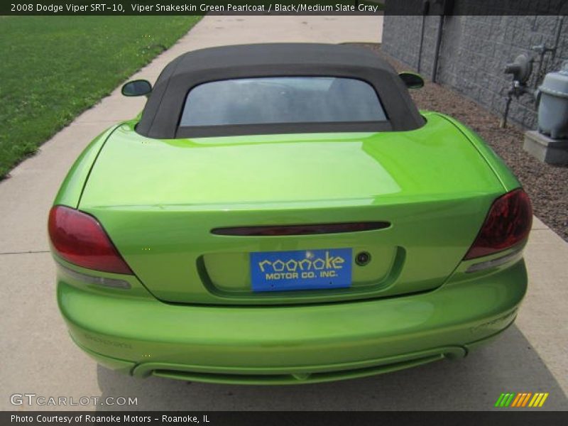 Viper Snakeskin Green Pearlcoat / Black/Medium Slate Gray 2008 Dodge Viper SRT-10