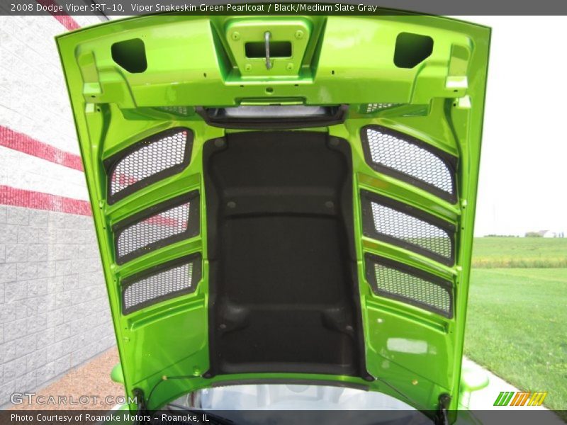 Viper Snakeskin Green Pearlcoat / Black/Medium Slate Gray 2008 Dodge Viper SRT-10