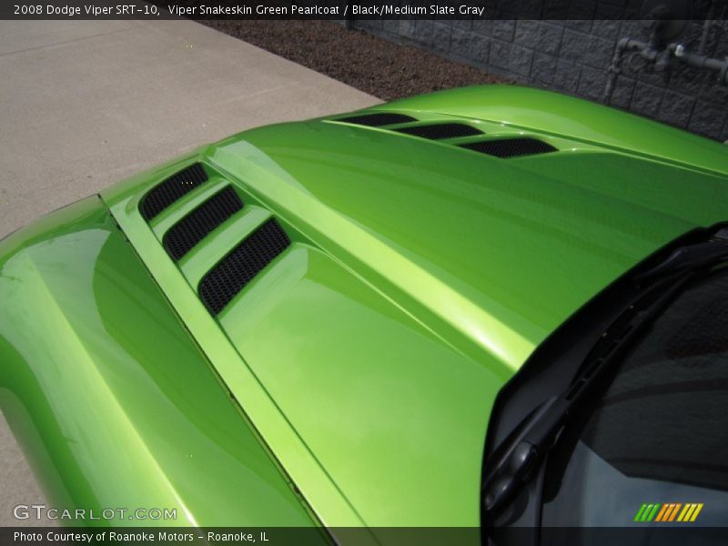 Viper Snakeskin Green Pearlcoat / Black/Medium Slate Gray 2008 Dodge Viper SRT-10