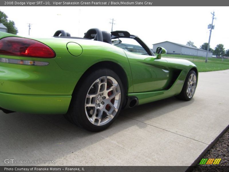 Viper Snakeskin Green Pearlcoat / Black/Medium Slate Gray 2008 Dodge Viper SRT-10