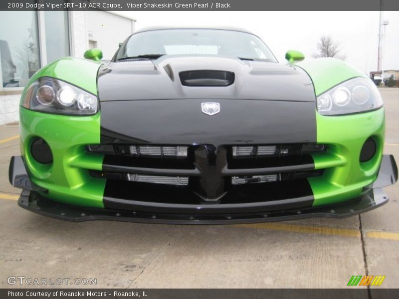  2009 Viper SRT-10 ACR Coupe Viper Snakeskin Green Pearl