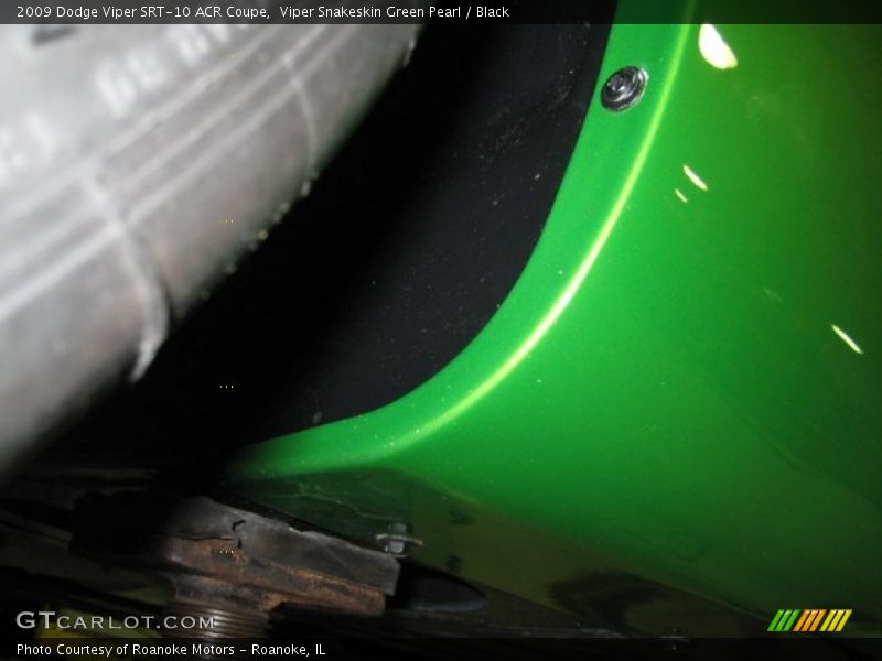 Viper Snakeskin Green Pearl / Black 2009 Dodge Viper SRT-10 ACR Coupe
