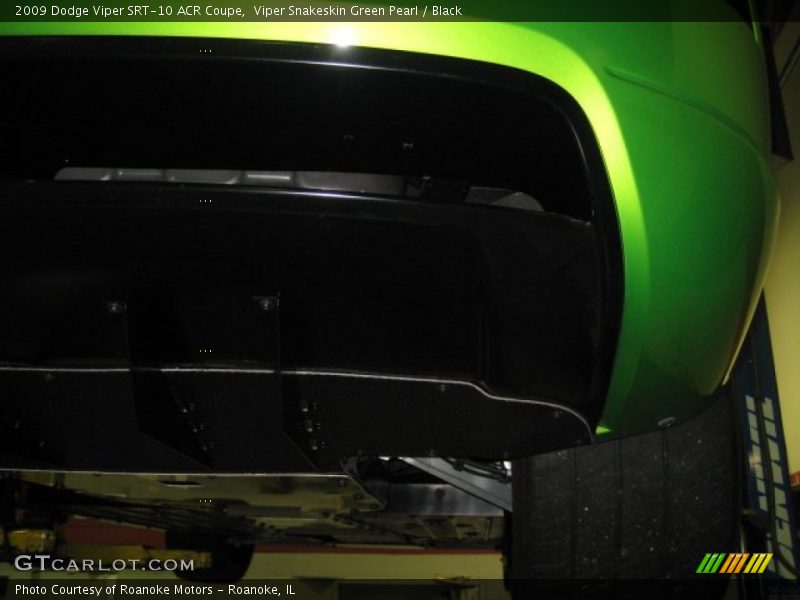 Viper Snakeskin Green Pearl / Black 2009 Dodge Viper SRT-10 ACR Coupe