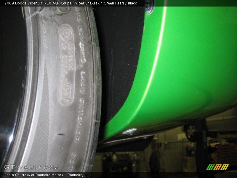 Viper Snakeskin Green Pearl / Black 2009 Dodge Viper SRT-10 ACR Coupe