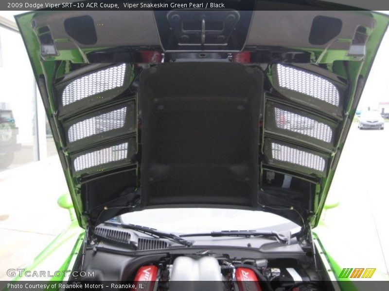 Viper Snakeskin Green Pearl / Black 2009 Dodge Viper SRT-10 ACR Coupe