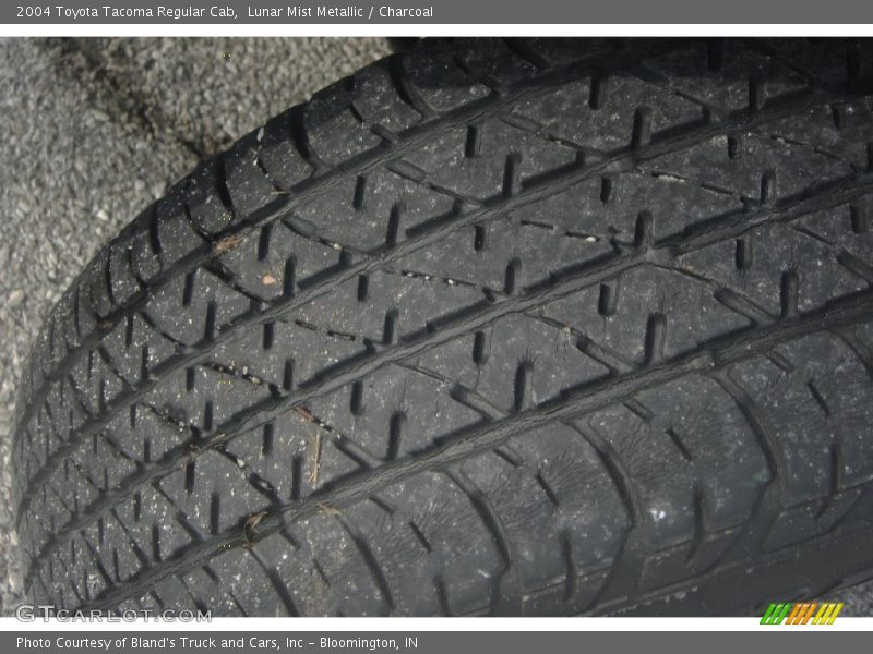 Lunar Mist Metallic / Charcoal 2004 Toyota Tacoma Regular Cab