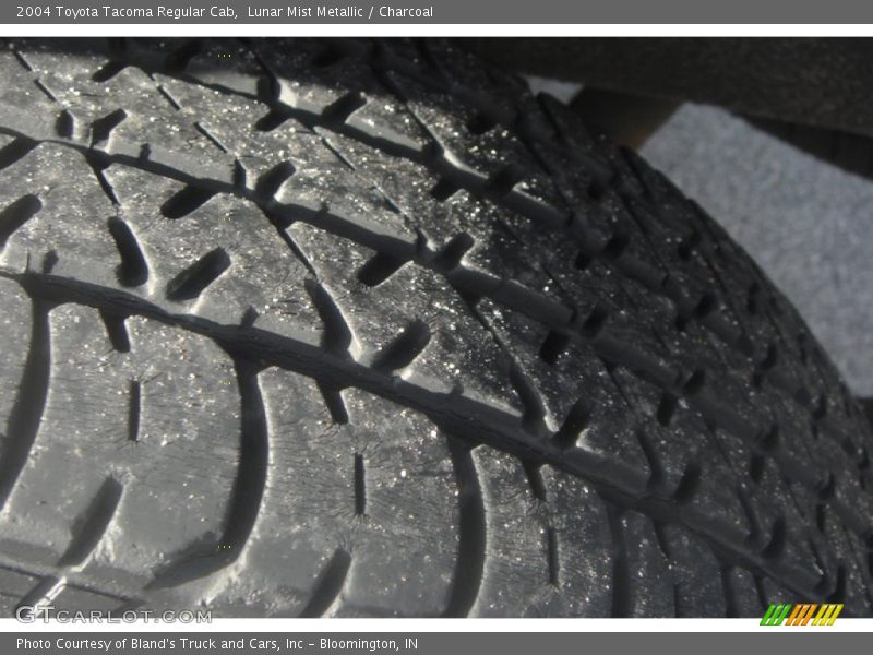 Lunar Mist Metallic / Charcoal 2004 Toyota Tacoma Regular Cab