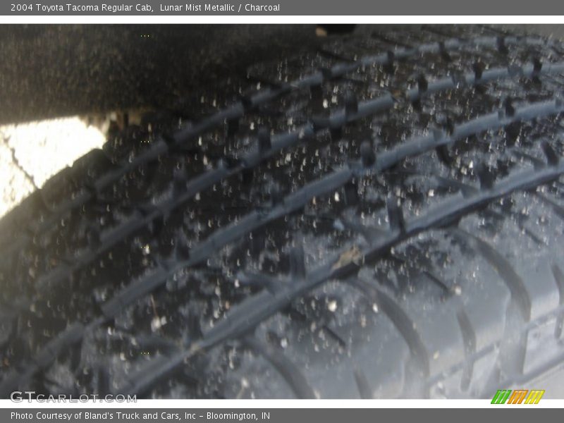 Lunar Mist Metallic / Charcoal 2004 Toyota Tacoma Regular Cab