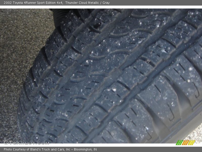 Thunder Cloud Metallic / Gray 2002 Toyota 4Runner Sport Edition 4x4