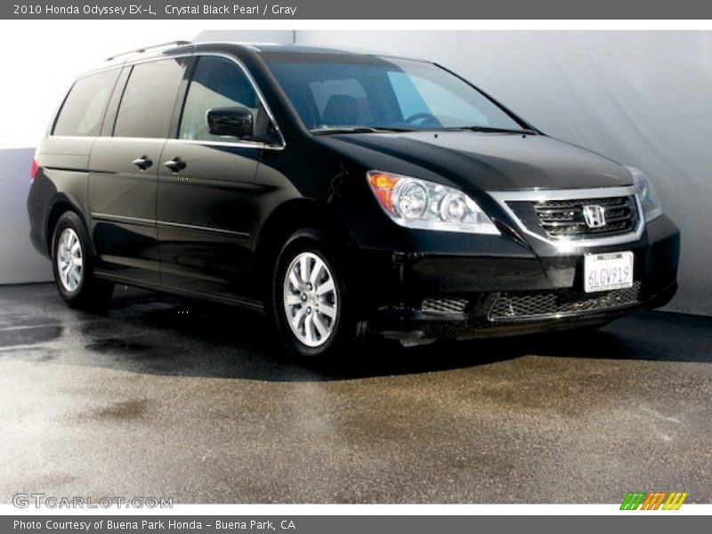 Crystal Black Pearl / Gray 2010 Honda Odyssey EX-L