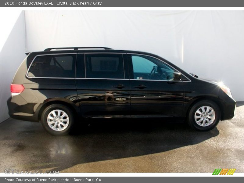 Crystal Black Pearl / Gray 2010 Honda Odyssey EX-L