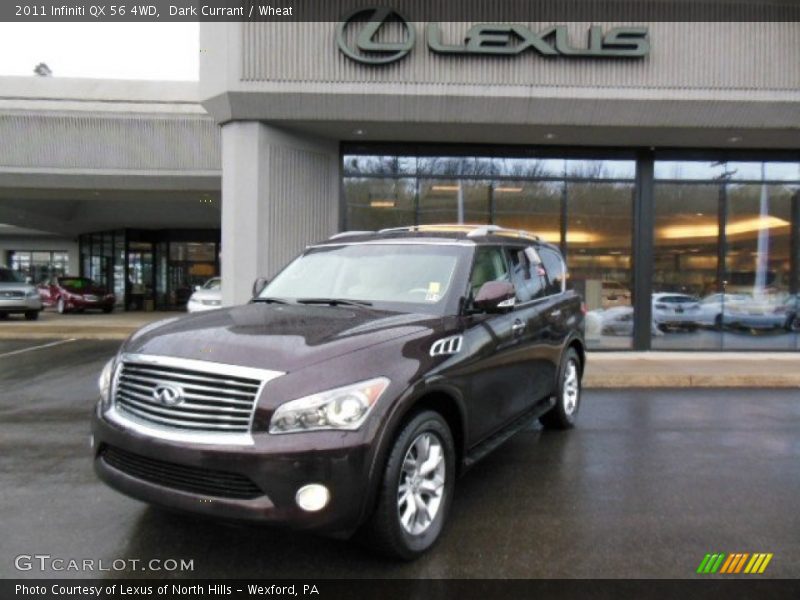 Dark Currant / Wheat 2011 Infiniti QX 56 4WD