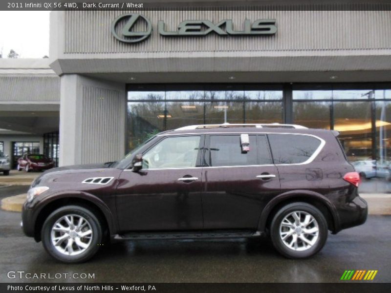 Dark Currant / Wheat 2011 Infiniti QX 56 4WD