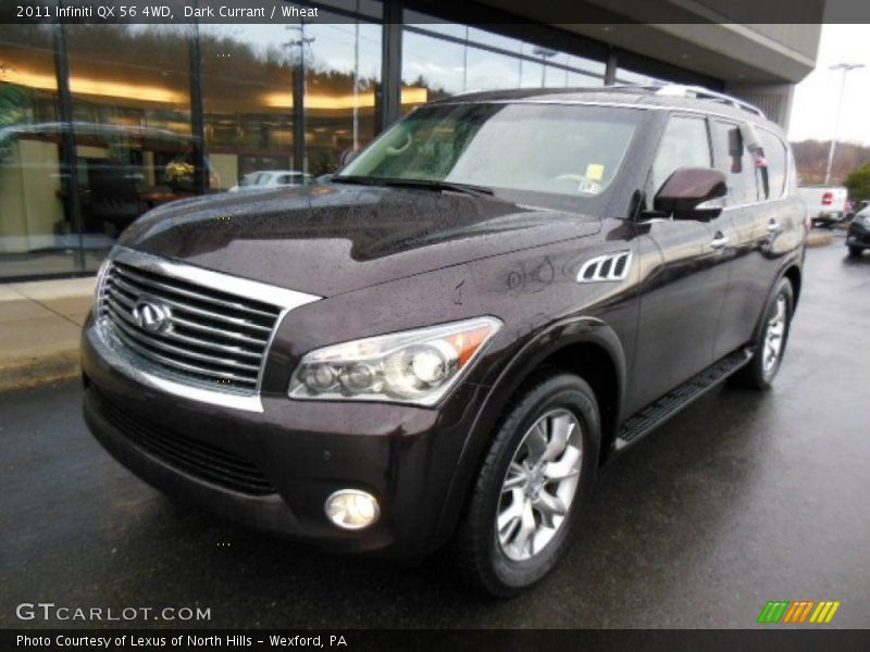 Dark Currant / Wheat 2011 Infiniti QX 56 4WD