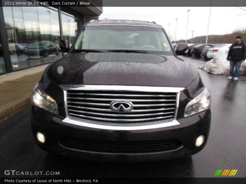 Dark Currant / Wheat 2011 Infiniti QX 56 4WD