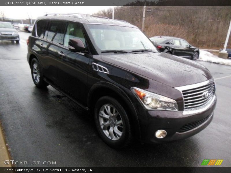 Dark Currant / Wheat 2011 Infiniti QX 56 4WD