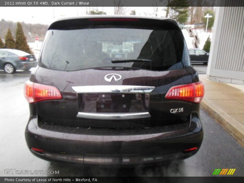 Dark Currant / Wheat 2011 Infiniti QX 56 4WD