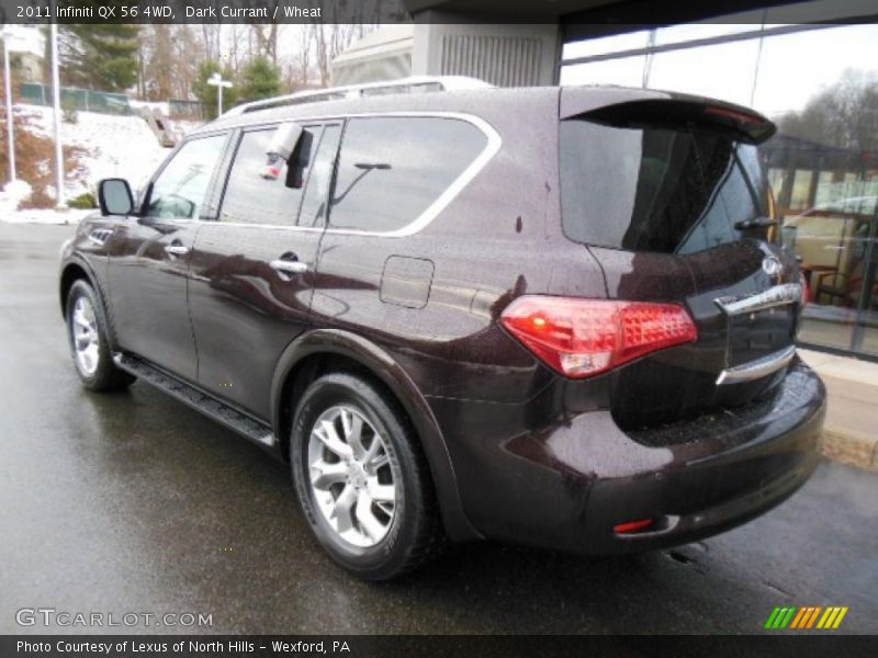 Dark Currant / Wheat 2011 Infiniti QX 56 4WD