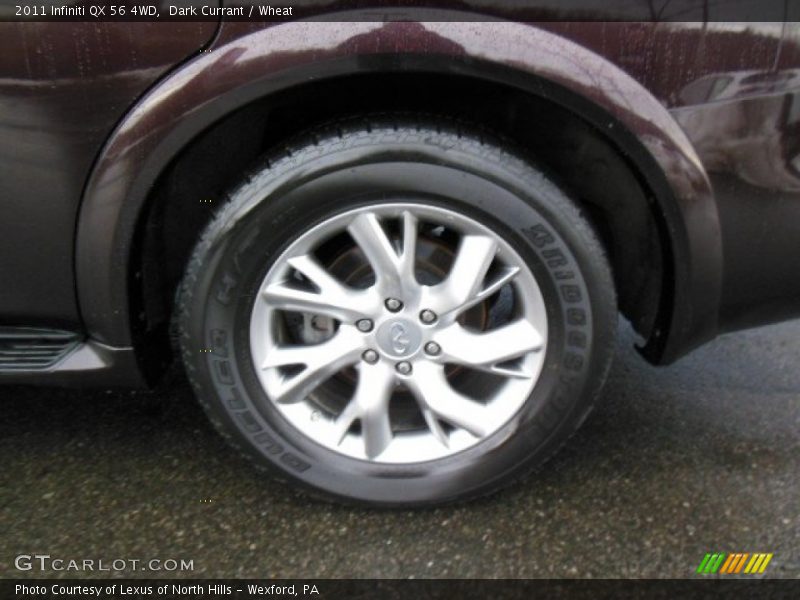 Dark Currant / Wheat 2011 Infiniti QX 56 4WD