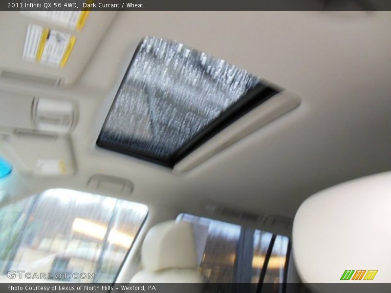 Dark Currant / Wheat 2011 Infiniti QX 56 4WD