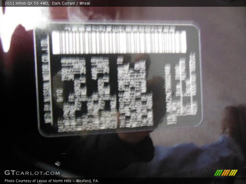 Dark Currant / Wheat 2011 Infiniti QX 56 4WD
