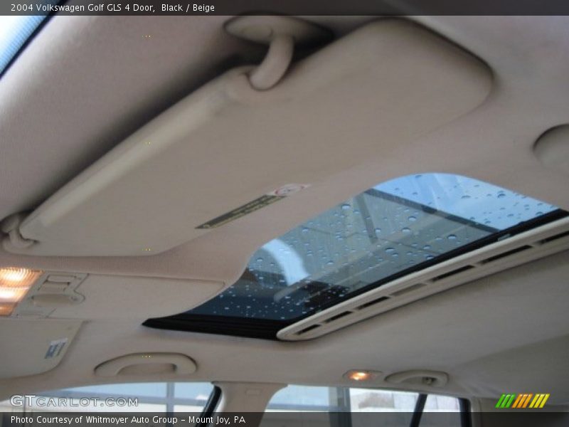 Black / Beige 2004 Volkswagen Golf GLS 4 Door
