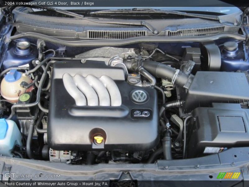 Black / Beige 2004 Volkswagen Golf GLS 4 Door