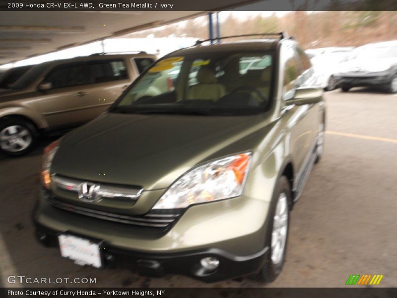 Green Tea Metallic / Ivory 2009 Honda CR-V EX-L 4WD