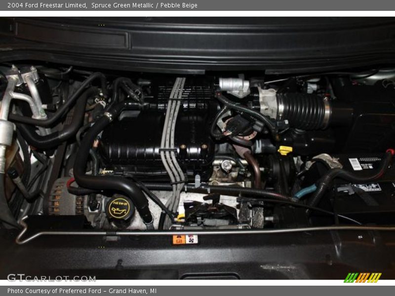 Spruce Green Metallic / Pebble Beige 2004 Ford Freestar Limited