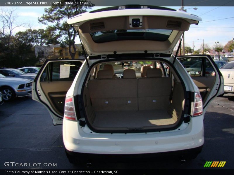 Creme Brulee / Camel 2007 Ford Edge SEL Plus