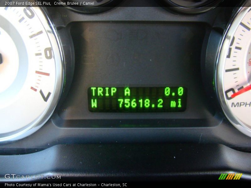 Creme Brulee / Camel 2007 Ford Edge SEL Plus