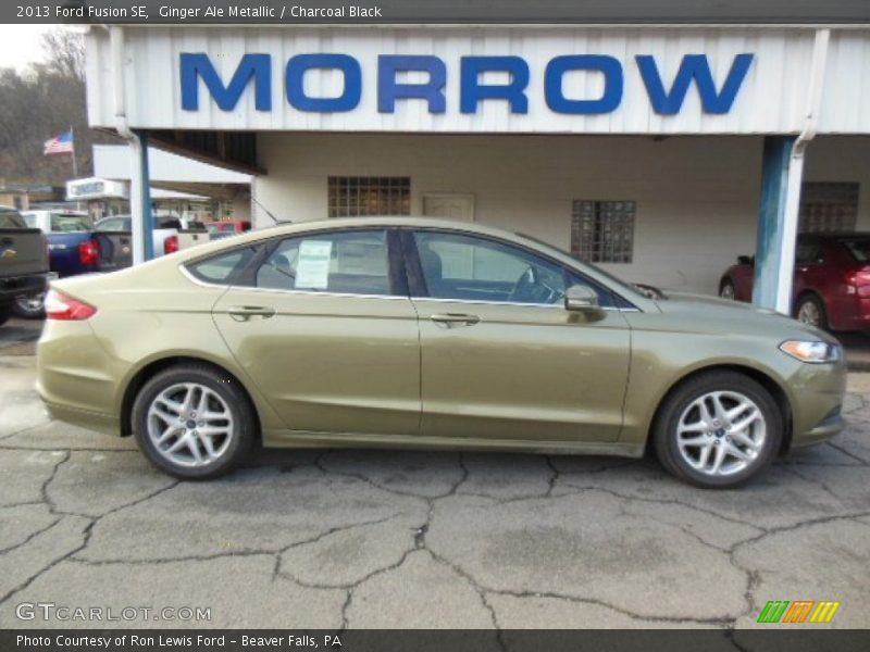 Ginger Ale Metallic / Charcoal Black 2013 Ford Fusion SE