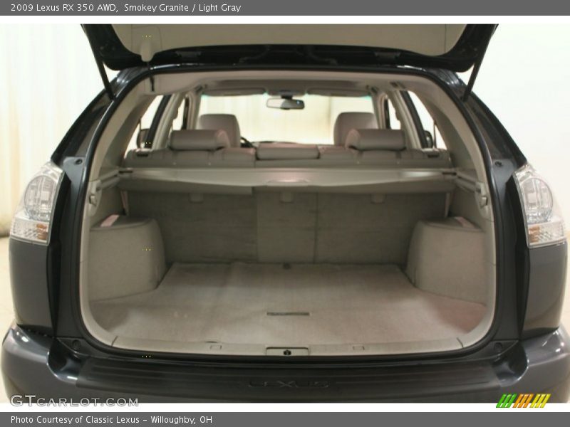 Smokey Granite / Light Gray 2009 Lexus RX 350 AWD