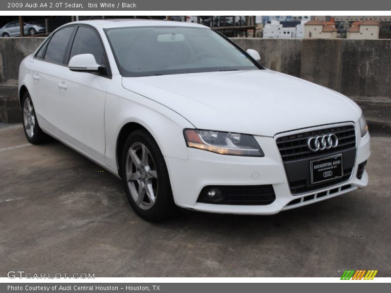 Ibis White / Black 2009 Audi A4 2.0T Sedan