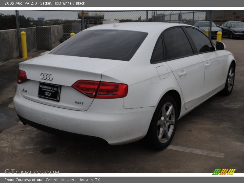 Ibis White / Black 2009 Audi A4 2.0T Sedan