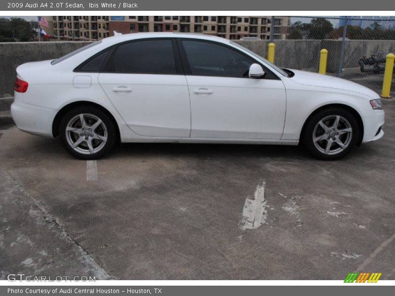 Ibis White / Black 2009 Audi A4 2.0T Sedan