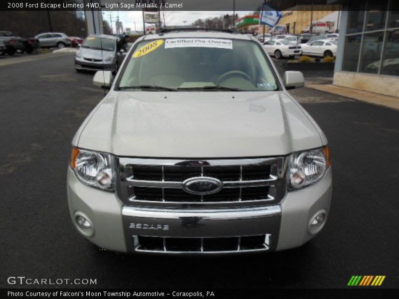 Light Sage Metallic / Camel 2008 Ford Escape Limited 4WD