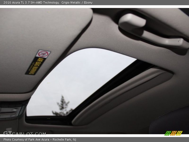 Grigio Metallic / Ebony 2010 Acura TL 3.7 SH-AWD Technology