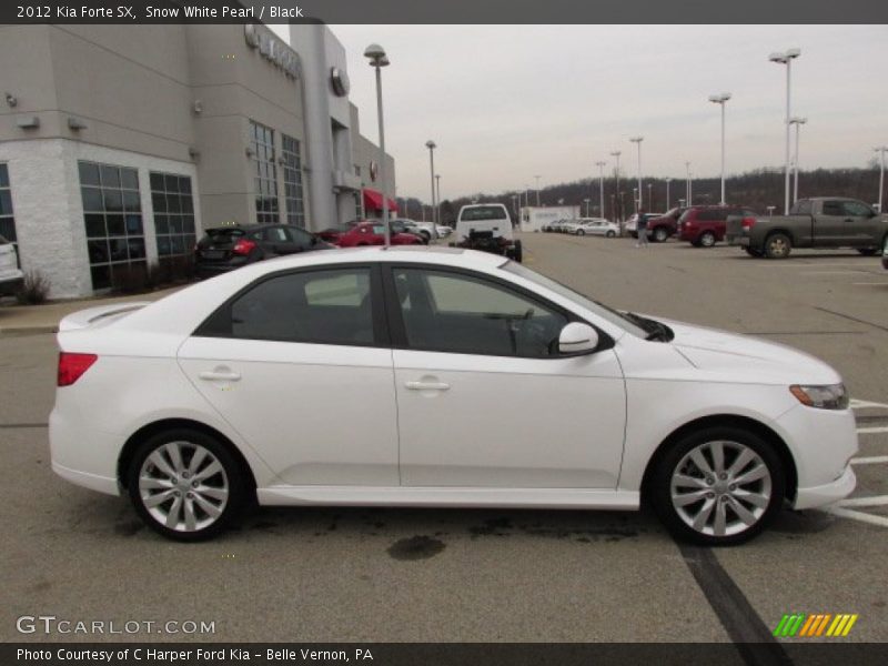 Snow White Pearl / Black 2012 Kia Forte SX