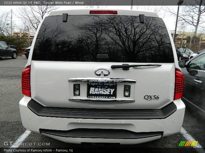 Tuscan White Pearl / Wheat 2010 Infiniti QX 56 4WD