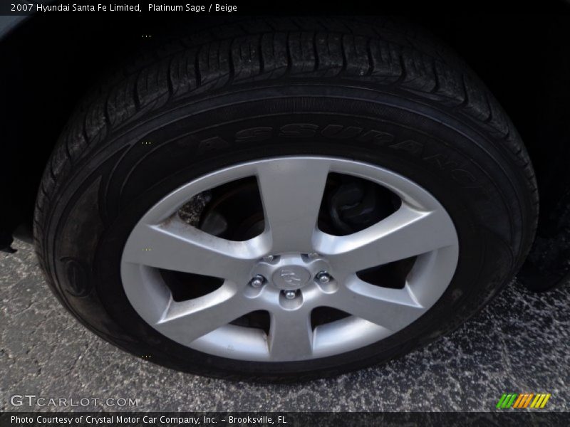 Platinum Sage / Beige 2007 Hyundai Santa Fe Limited