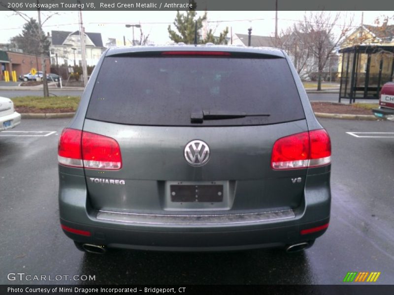 Reed Green Metallic / Anthracite 2006 Volkswagen Touareg V8