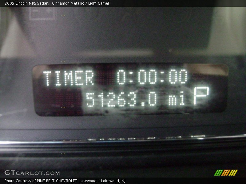 Cinnamon Metallic / Light Camel 2009 Lincoln MKS Sedan