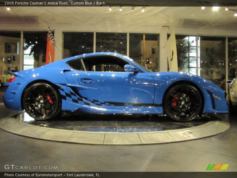 Custom Blue / Black 2006 Porsche Cayman S Anibal Rush