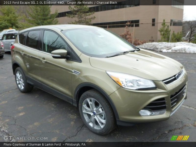 Ginger Ale Metallic / Charcoal Black 2013 Ford Escape SEL 2.0L EcoBoost 4WD