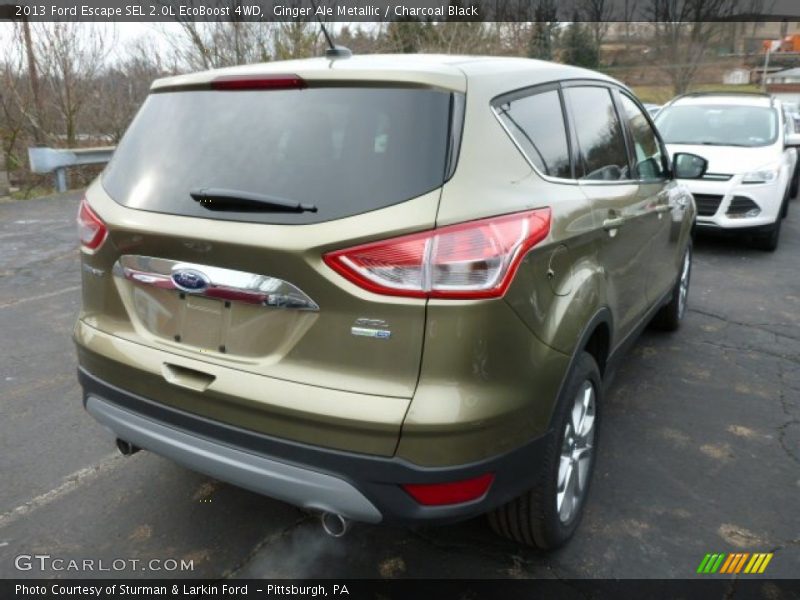 Ginger Ale Metallic / Charcoal Black 2013 Ford Escape SEL 2.0L EcoBoost 4WD