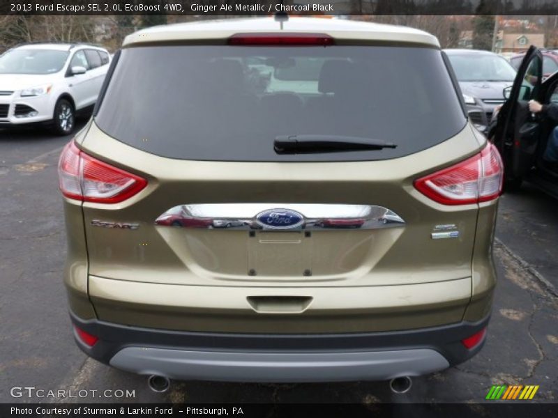 Ginger Ale Metallic / Charcoal Black 2013 Ford Escape SEL 2.0L EcoBoost 4WD