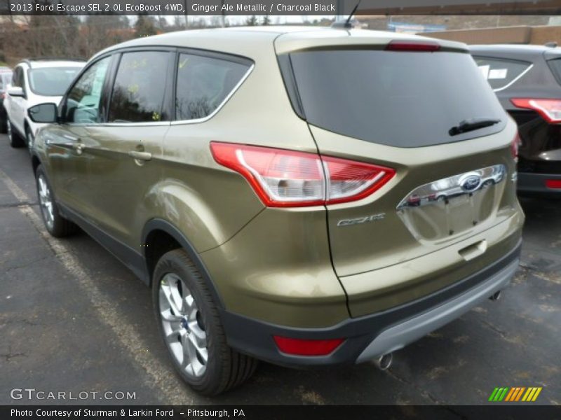 Ginger Ale Metallic / Charcoal Black 2013 Ford Escape SEL 2.0L EcoBoost 4WD